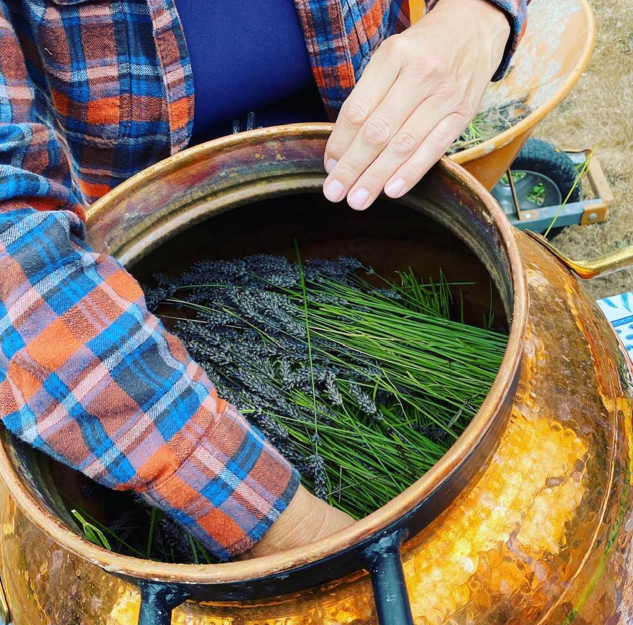 Lavender basket